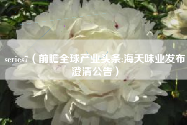 series7（前瞻全球产业头条:海天味业发布澄清公告）