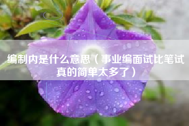 编制内是什么意思（事业编面试比笔试真的简单太多了）