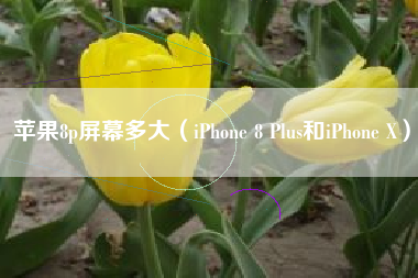 苹果8p屏幕多大（iPhone 8 Plus和iPhone X）