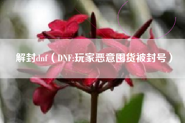 解封dnf(DNF:玩家恶意囤货被封号)