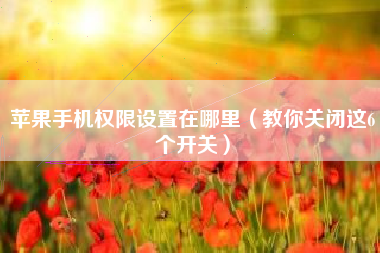 苹果手机权限设置在哪里（教你关闭这6个开关）