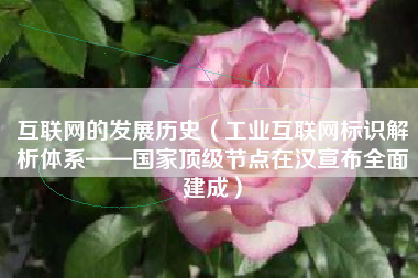 互联网的发展历史（工业互联网标识解析体系——国家顶级节点在汉宣布全面建成）