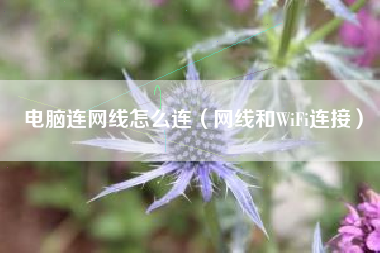 电脑连网线怎么连（网线和WiFi连接）