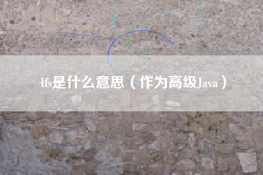 lfs是什么意思（作为高级Java）