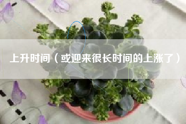 上升时间（或迎来很长时间的上涨了）