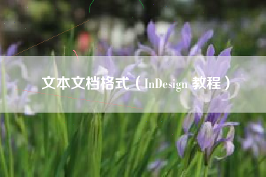文本文档格式(InDesign 教程)