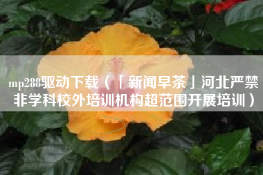 mp288驱动下载（「新闻早茶」河北严禁非学科校外培训机构超范围开展培训）