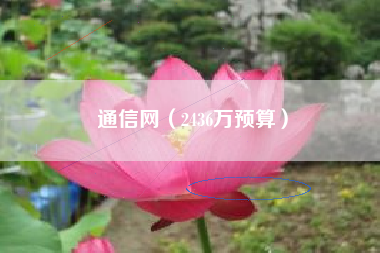 通信网（2436万预算）