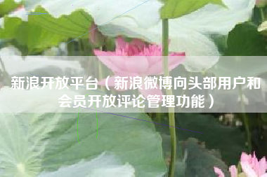 新浪开放平台（新浪微博向头部用户和会员开放评论管理功能）