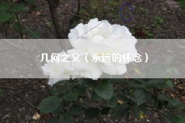 几何之父(永远的怀念)