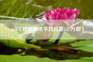 stca（吃瓜腾讯平均月薪7.27万后）