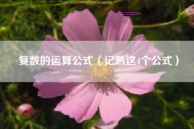 复数的运算公式（记熟这4个公式）