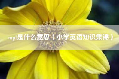 mpl是什么意思（小学英语知识集锦）