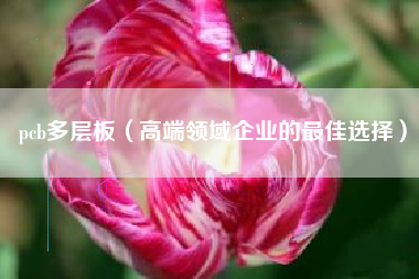 pcb多层板(高端领域企业的最佳选择)