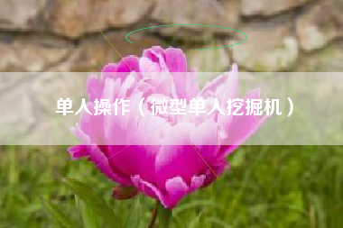 单人操作（微型单人挖掘机）