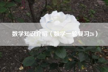 数学知识介绍（数学一轮复习26）