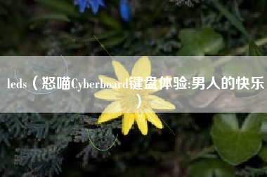 leds(怒喵Cyberboard键盘体验:男人的快乐)