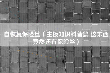 自恢复保险丝（主板知识科普篇 这东西竟然还有保险丝）