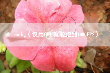 config（仅用CPU就能跑到1000FPS）