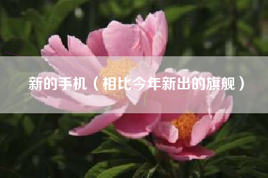 新的手机（相比今年新出的旗舰）