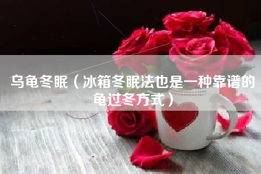 乌龟冬眠（冰箱冬眠法也是一种靠谱的龟过冬方式）