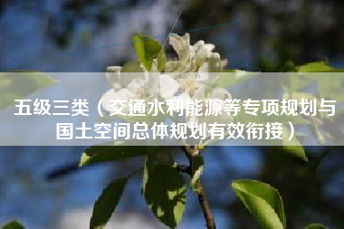 五级三类（交通水利能源等专项规划与国土空间总体规划有效衔接）