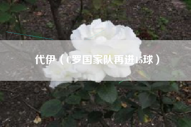 代伊（C罗国家队再进15球）