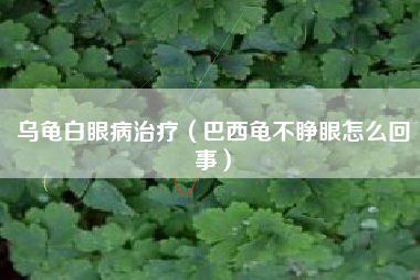 乌龟白眼病治疗（巴西龟不睁眼怎么回事）