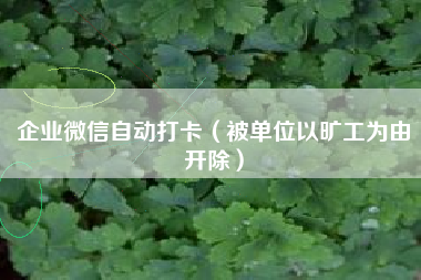 企业微信自动打卡（被单位以旷工为由开除）