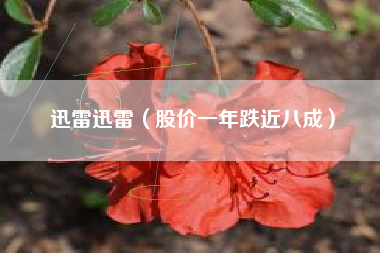 迅雷迅雷（股价一年跌近八成）