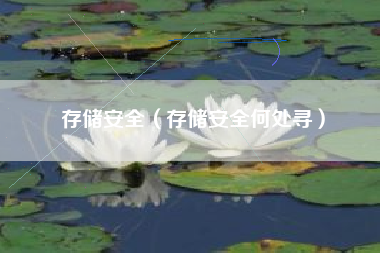 存储安全（存储安全何处寻）