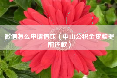 微信怎么申请借钱（中山公积金贷款提前还款）
