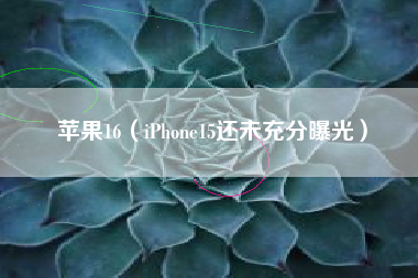 苹果16（iPhone15还未充分曝光）