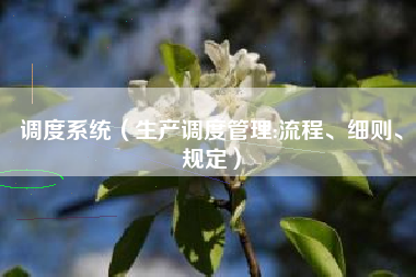 调度系统(生产调度管理:流程、细则、规定)