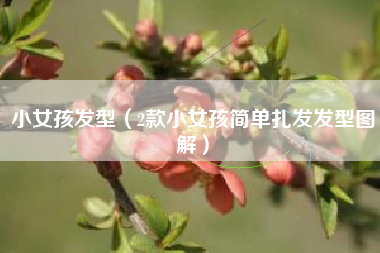 小女孩发型(2款小女孩简单扎发发型图解)