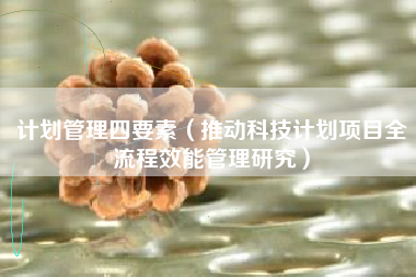 计划管理四要素(推动科技计划项目全流程效能管理研究)