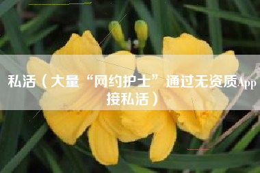 私活(大量“网约护士”通过无资质App接私活)