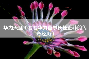 华为天涯（看看华为董事长任正非的传奇经历）