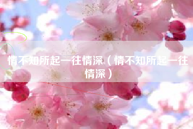 情不知所起一往情深（情不知所起一往情深）
