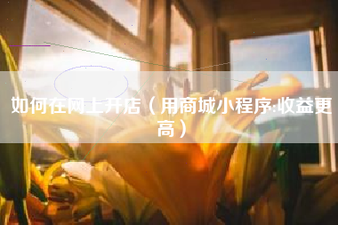如何在网上开店（用商城小程序:收益更高）