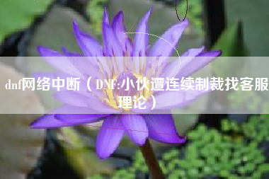 dnf网络中断（DNF:小伙遭连续制裁找客服理论）