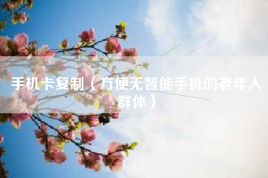 手机卡复制(方便无智能手机的老年人群体)