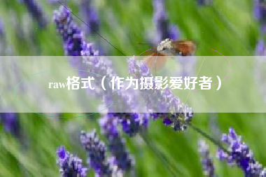 raw格式(作为摄影爱好者)
