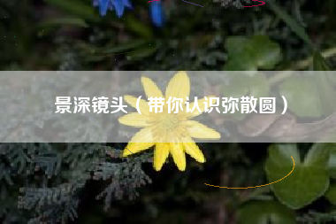 景深镜头(带你认识弥散圆)