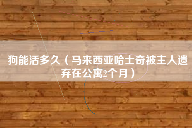 狗能活多久(马来西亚哈士奇被主人遗弃在公寓2个月)