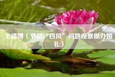 王建博(节后“四风”问题观察操办婚礼)