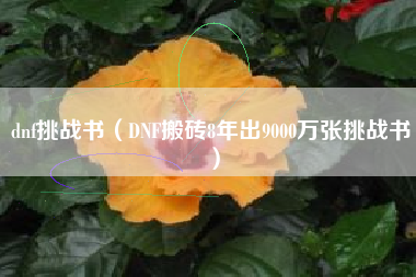 详细阅读:dnf挑战书(DNF搬砖8年出9000万张挑战书) dnf挑战书(DNF搬砖8年出9000万张挑战书)