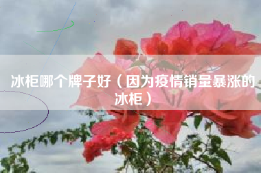 冰柜哪个牌子好(因为疫情销量暴涨的冰柜)