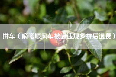 拼车（嘀嗒顺风车被曝违规多拼后退费）