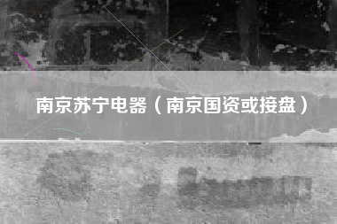 南京苏宁电器（南京国资或接盘）